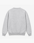 Southerly Script Crew Knit, light grey, back view. Generated pre-production design preview.